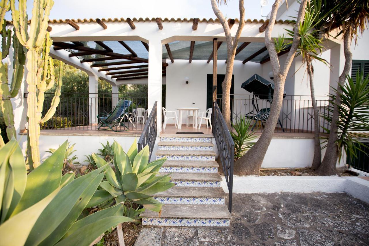 Villa Nadia Con Splendida Vista Mare كاستيلاّماري ديل غو المظهر الخارجي الصورة